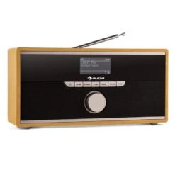 Weimar DAB-Radio Internet-Radio Bluetooth DAB+ UKW Wecker Portabel