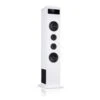 Karaboom 100 Turmlautsprecher 120W Max. Bluetooth 2 In 1 USB
