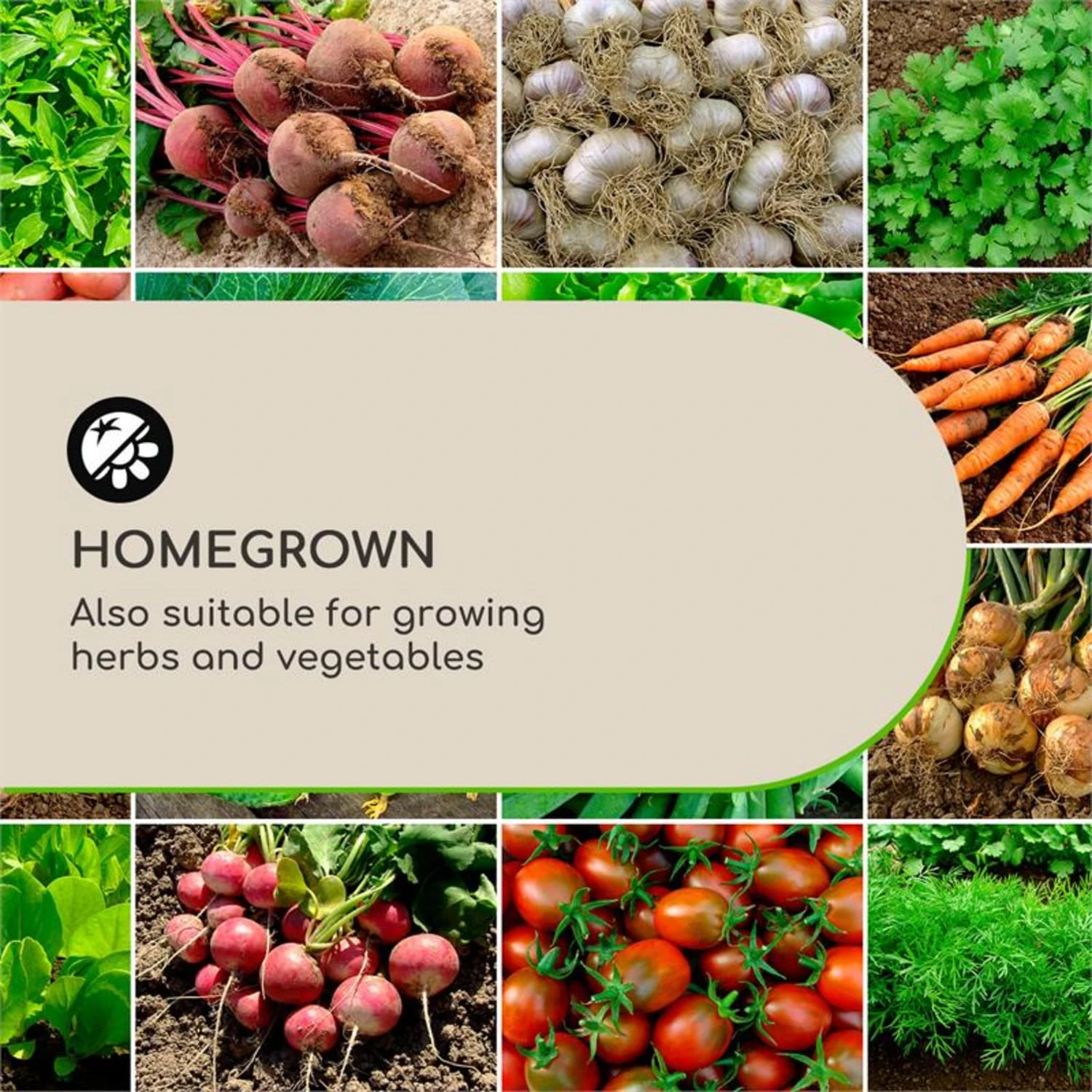 Solid Grow Rust Pflanzgefäß 80 X 38 X 38 Cm Fibreclay Rostfarben 3 Solid Grow Rust Pflanzgefäß 80 X 38 X 38 Cm Fibreclay Rostfarben – Bild 3