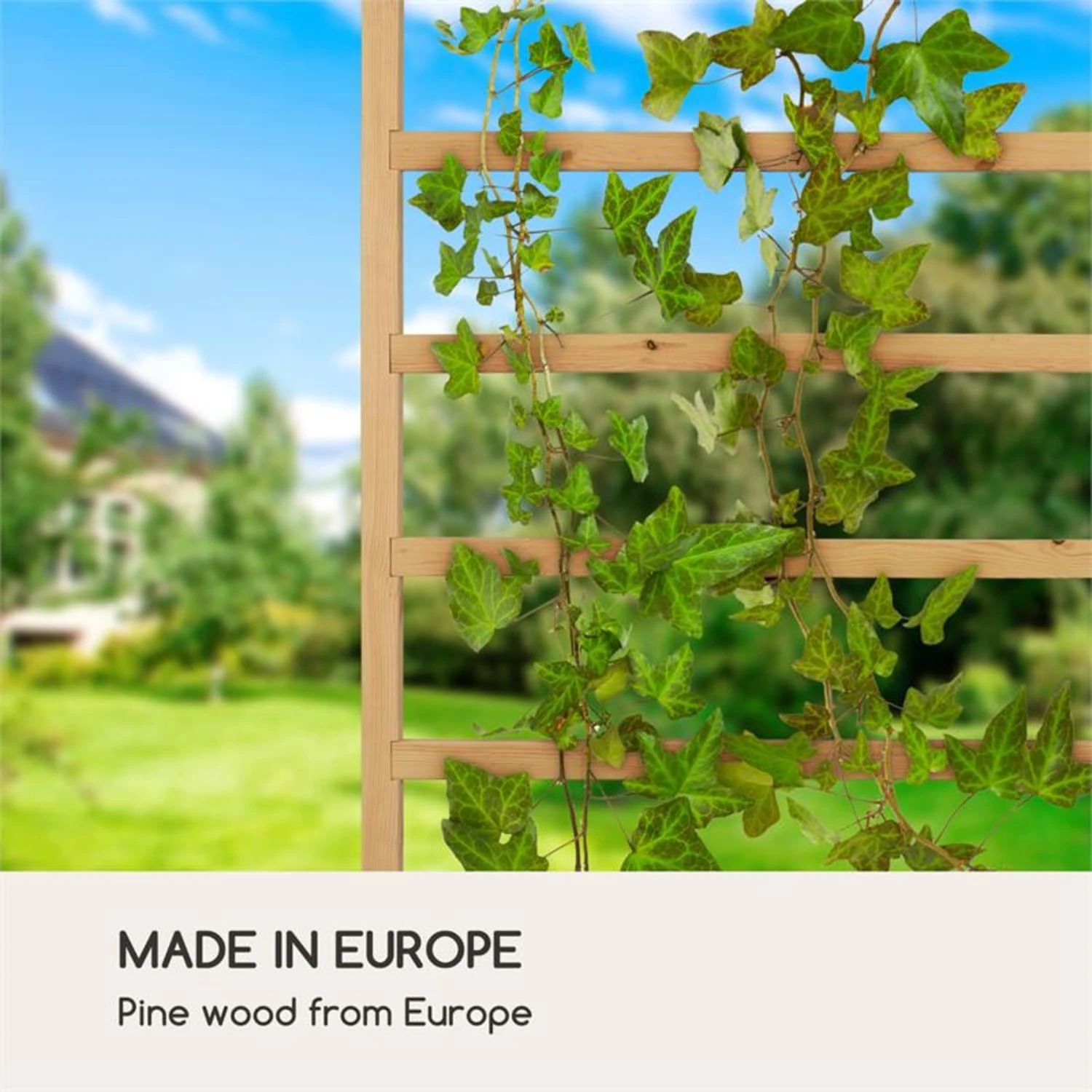 Modu Grow 50 UP Spalier Rankhilfe 50 X 151 X 3 Cm Kiefer 5 Modu Grow 50 UP Spalier Rankhilfe 50 X 151 X 3 Cm Kiefer – Bild 5