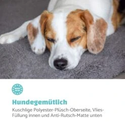 Finn Hundebett Waschbar Rutschfest Atmungsaktiv PE / Vlies Größe L -Einrichtungsgeschäft 10037526 de 0003 logo