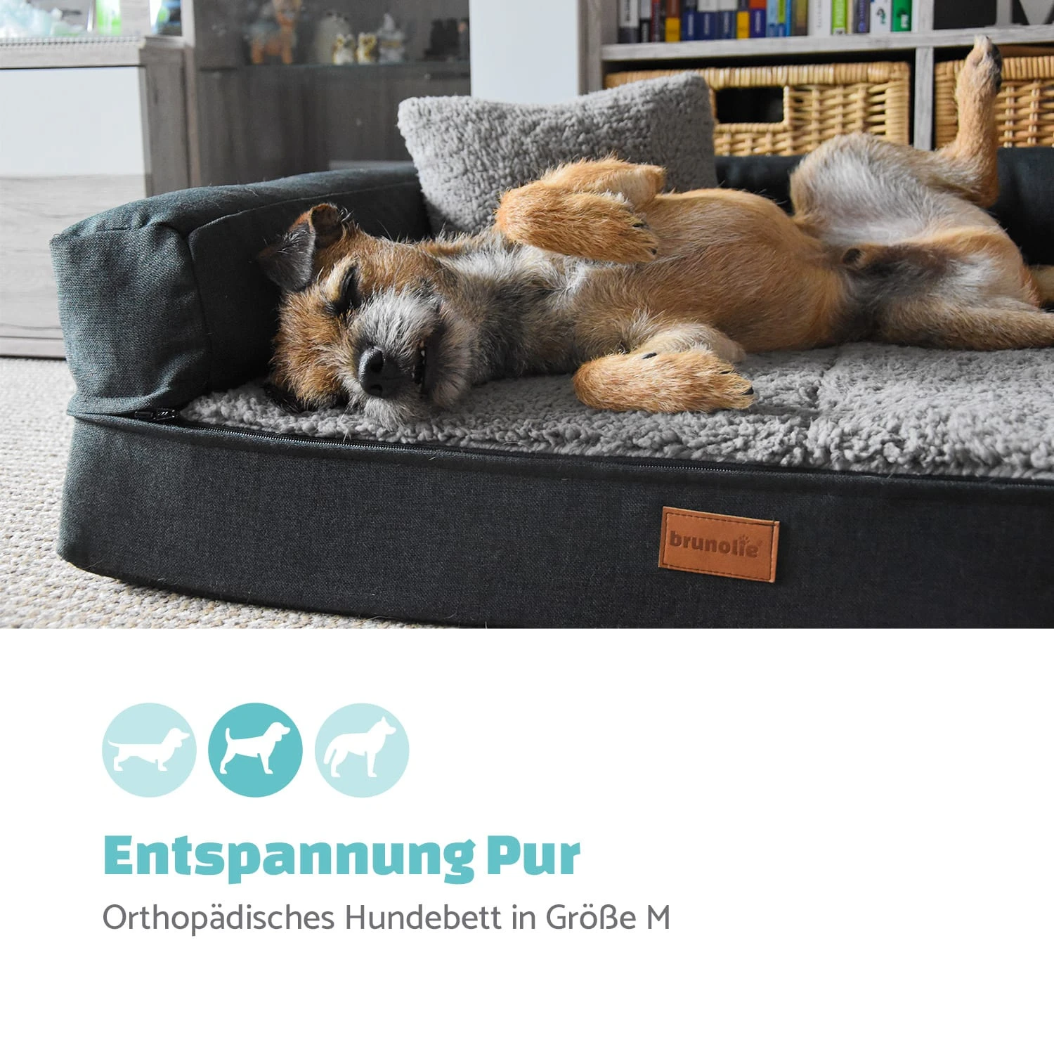 Odin Hundesofa Waschbar Orthopädisch Rutschfest Memory-Schaum Größe M 2 Odin Hundesofa Waschbar Orthopädisch Rutschfest Memory-Schaum Größe M – Bild 2