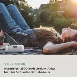 Blaster DAB Radio Tragbarer Bluetooth-Lautsprecher DAB/DAB+/FM Akku LCD -Einrichtungsgeschäft 10038363 de 0007 logo