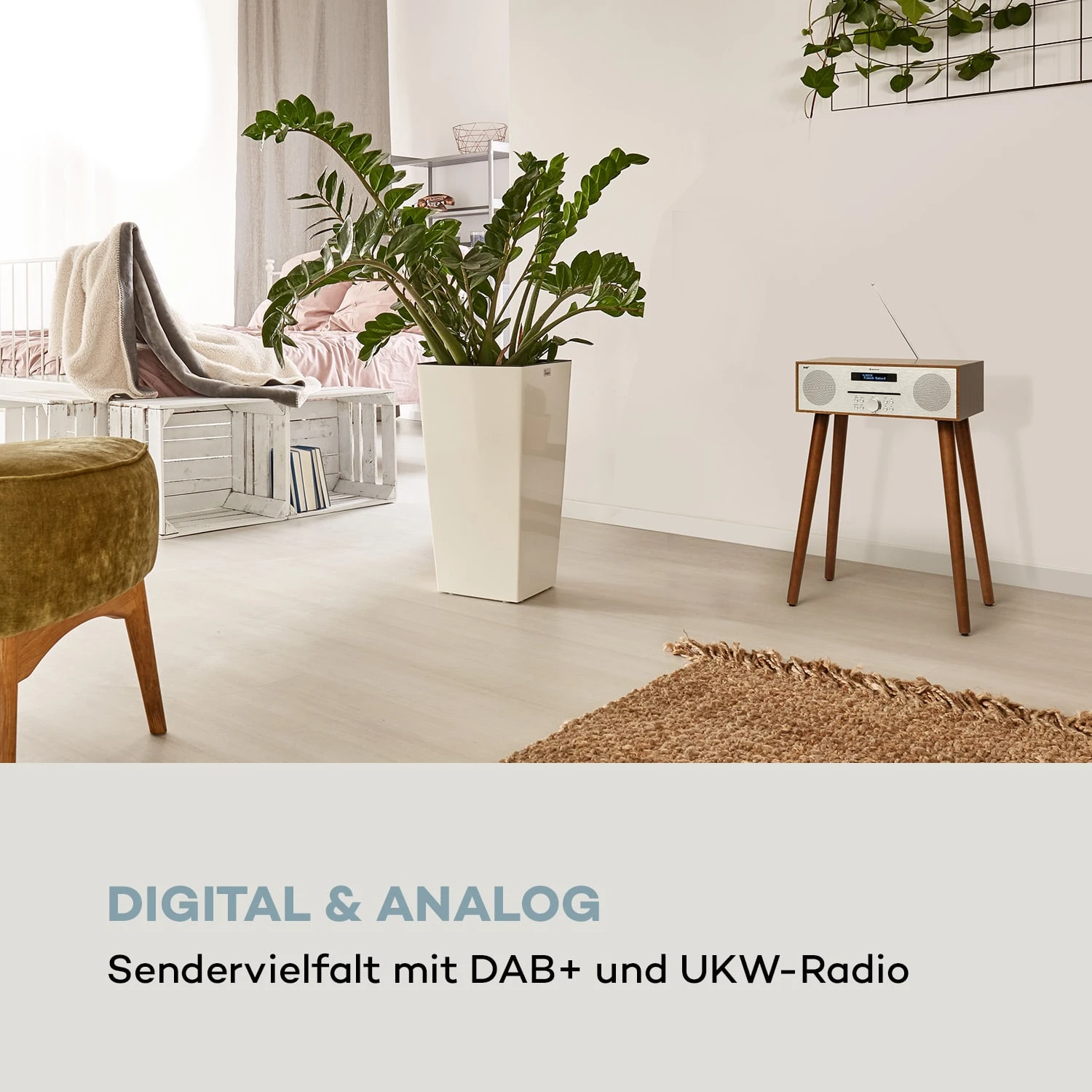 Silver Star CD-DAB 2x10W Max. Slot-In CD-Player DAB+ BT Alu 2 Silver Star CD-DAB 2x10W Max. Slot-In CD-Player DAB+ BT Alu – Bild 2