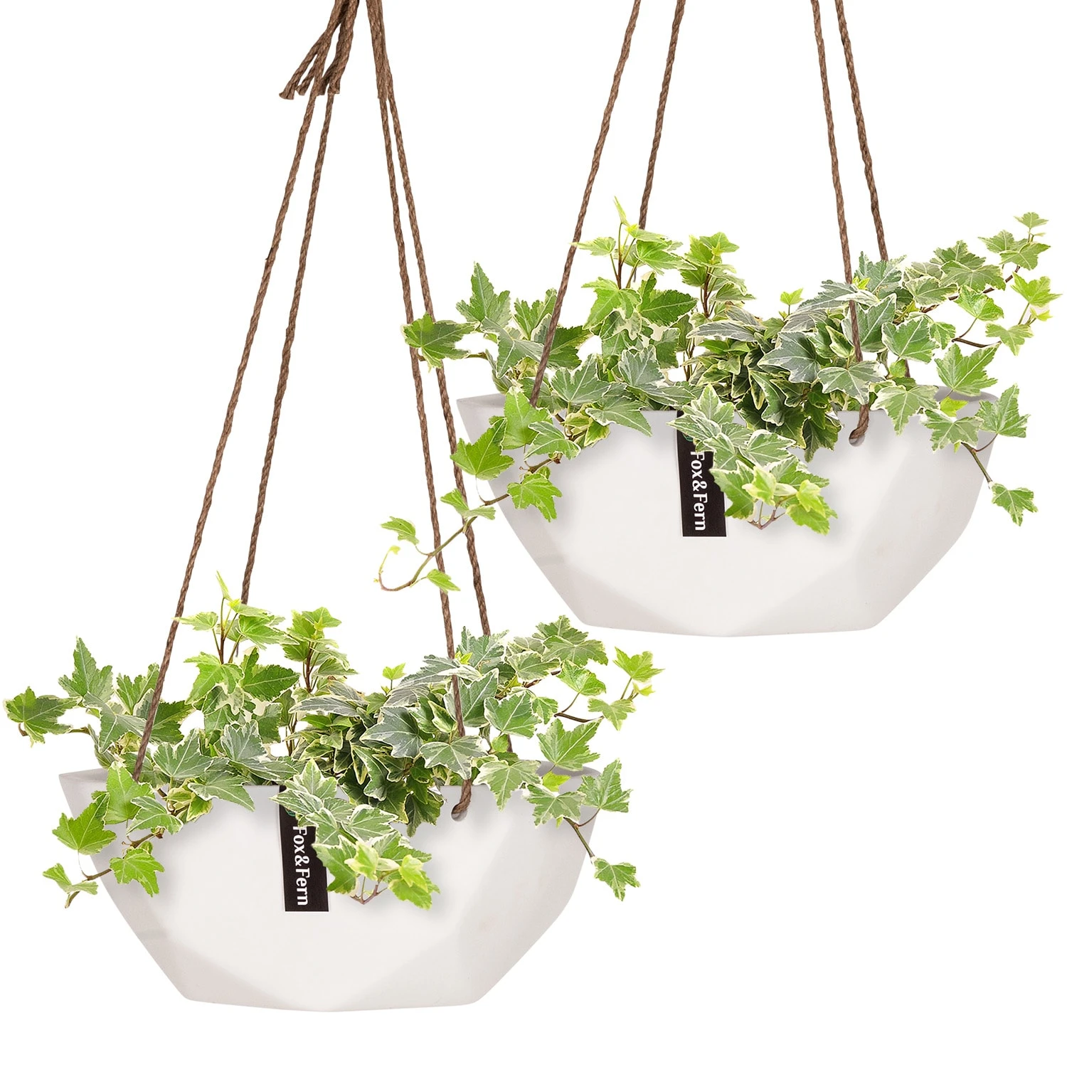 Laren Blumenampel Ø 28 Cm Polystone Mit Naturseilen 2er-Set 1 Laren Blumenampel Ø 28 Cm Polystone Mit Naturseilen 2er-Set