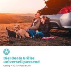 Rocky Hundeautositz Polyester Anschnallgurt Faltbar Flexibel 13 Rocky Hundeautositz Polyester Anschnallgurt Faltbar Flexibel -Einrichtungsgeschäft 10039048 de 0006 logo