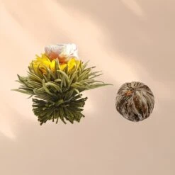 Feelino 6er Teeblume Mix Grün 13 Feelino 6er Teeblume Mix Grün -Einrichtungsgeschäft 10040407 yy 0007 logo